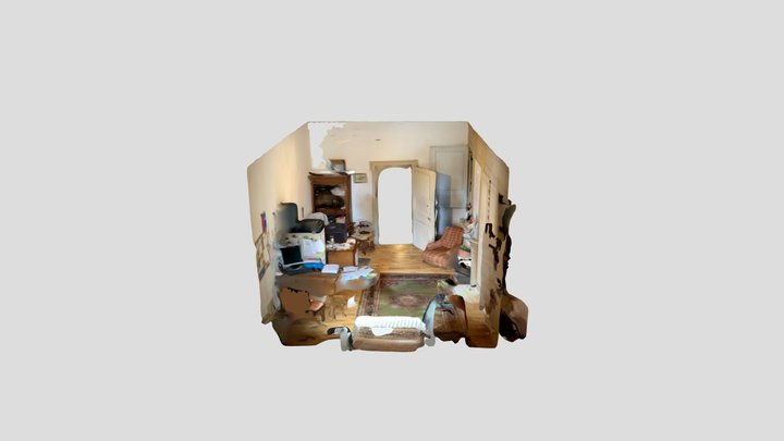 Polycam capture 3D Model