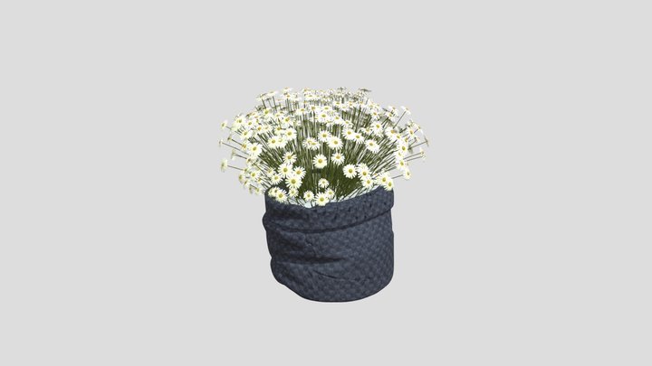 14 April test 3D Model