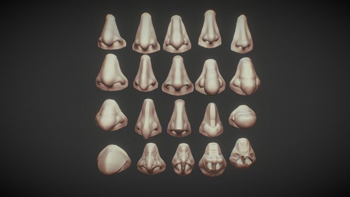 20 Noses with high poly and low poly 3D Model