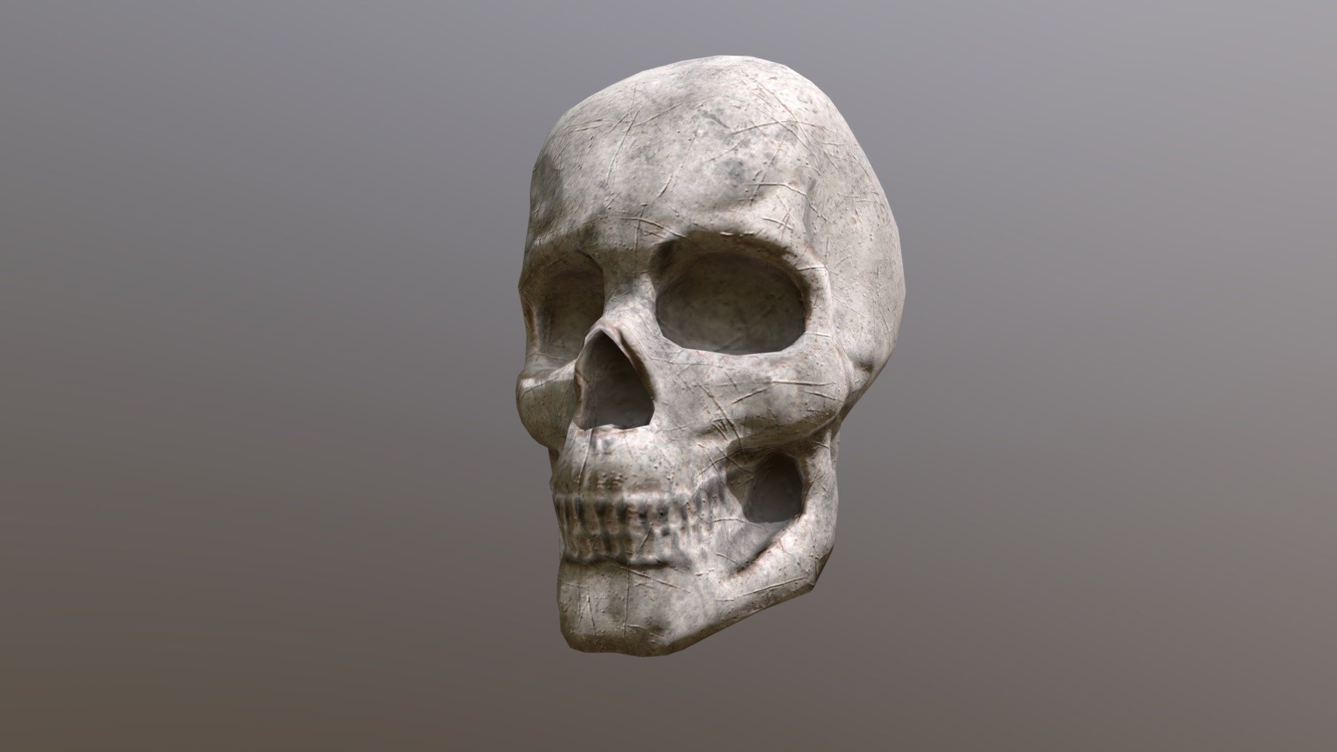 human skull