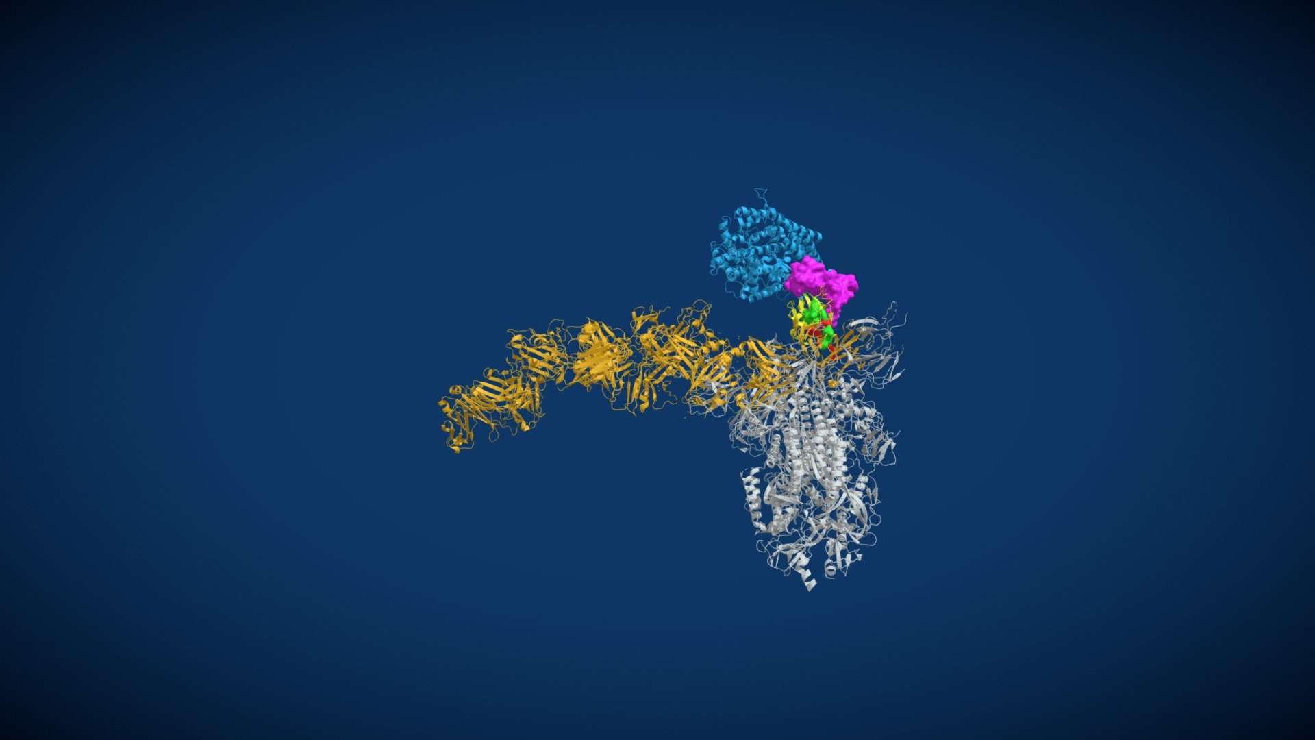 10 super antibody