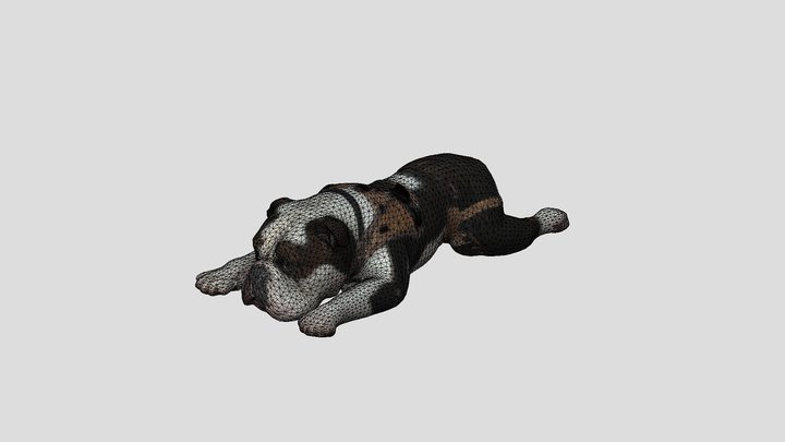 bulldog Nap Time 3D Model