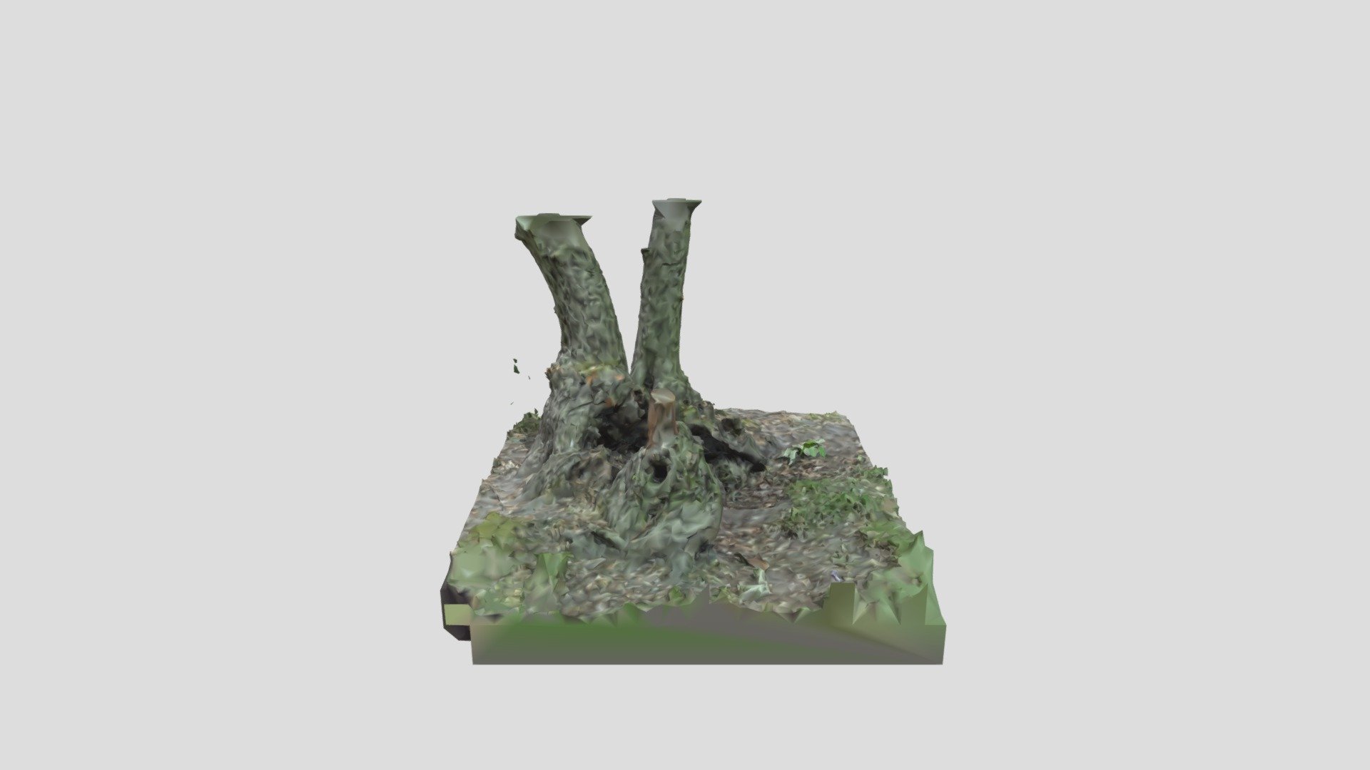 Bottom Tree with Roots Download Free 3D model by meezy