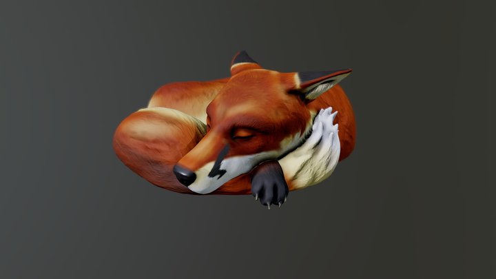 Sleeping Fox 3D Model
