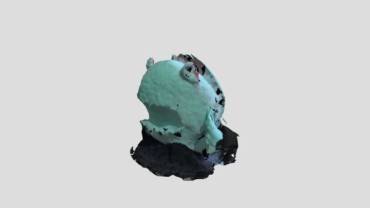 sowagotowa 3D Model