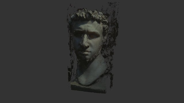 Head of some Roman guy (point cloud) 3D Model