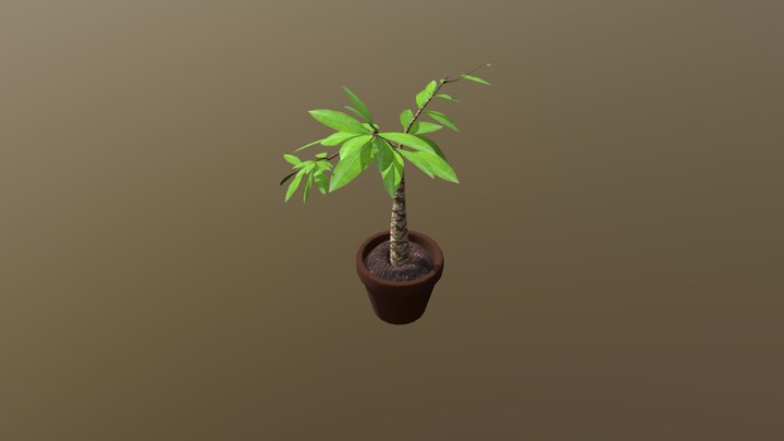 plant 3D Model