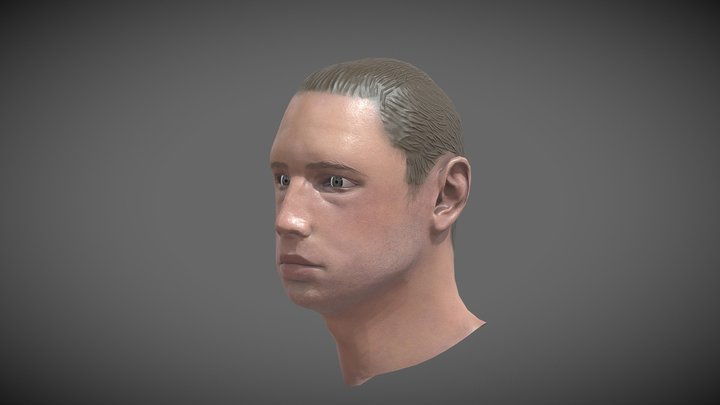 Male Bust 3D Model