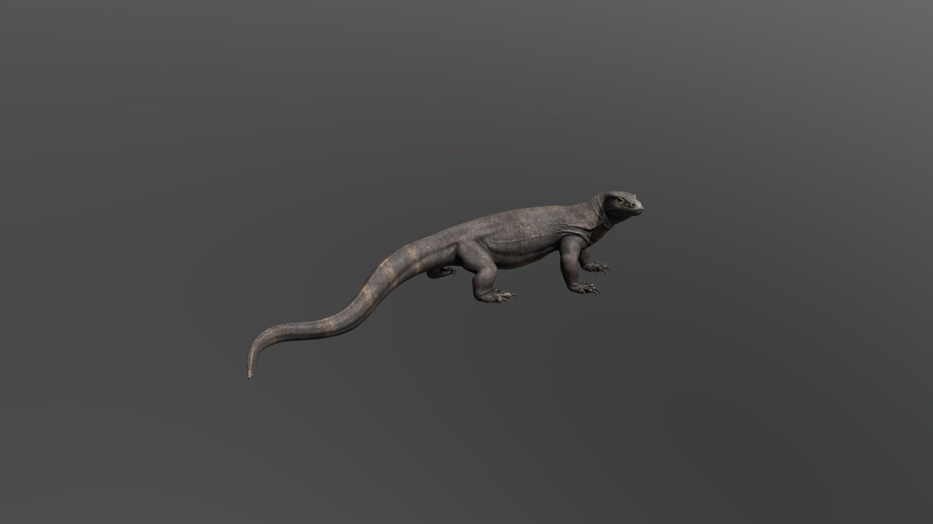 Dragon De Komodo