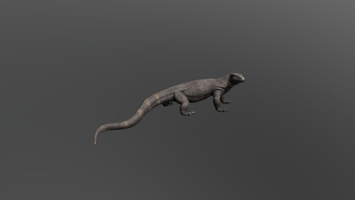 Dragon De Komodo 3D Model