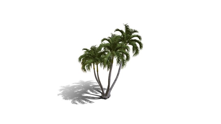 Realistic HD Christmas palm (35/35) 3D Model