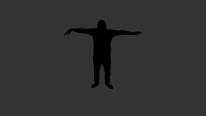 Wave 3D Model