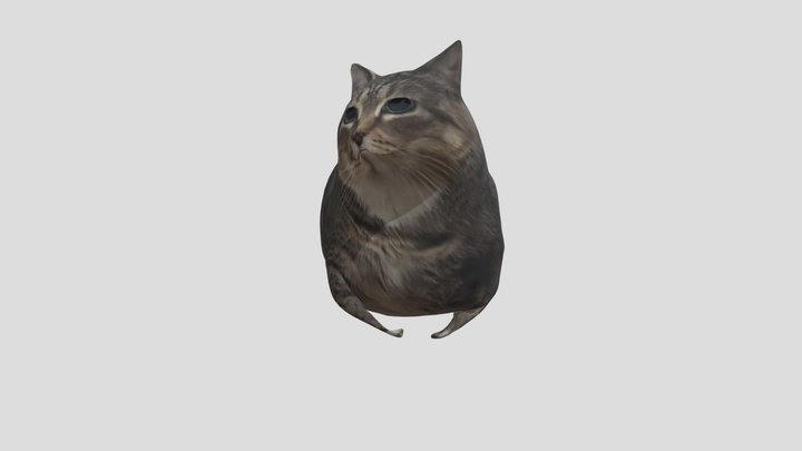 Oiiaioooooiai Cat!!!!! 3D Model