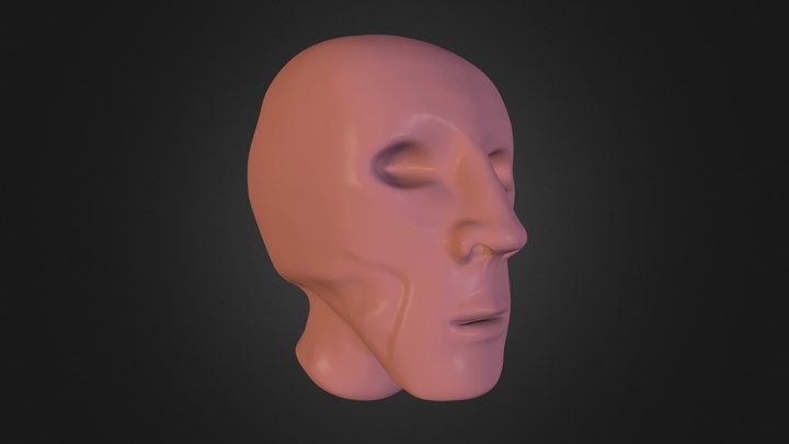 Head 3D Model