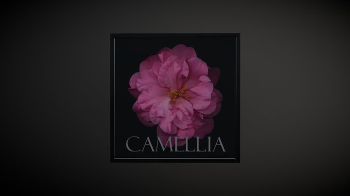 Tela Camellia Dark Floral 3D Model
