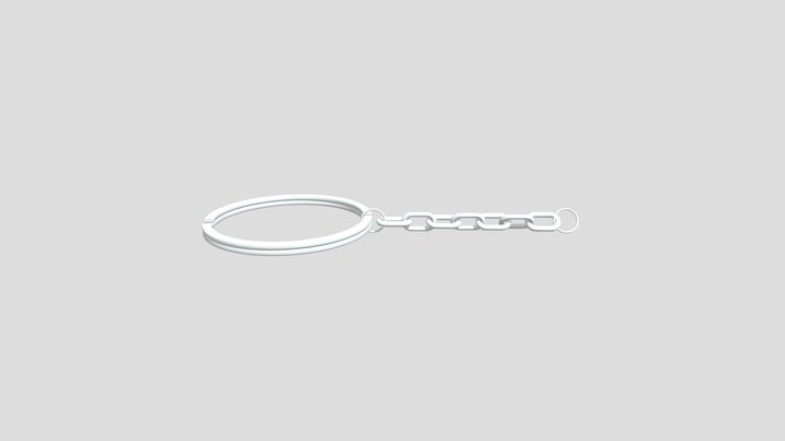 Keyring with Chain