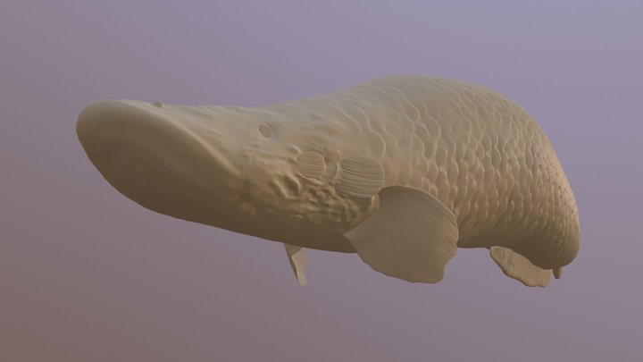 Pirarucu Sculpt Model 3D Model
