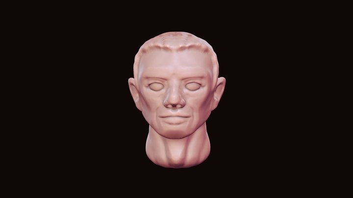 ImaginX Human Face 3D Model