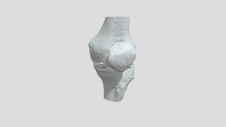 SegmentGS_LT 3D Model