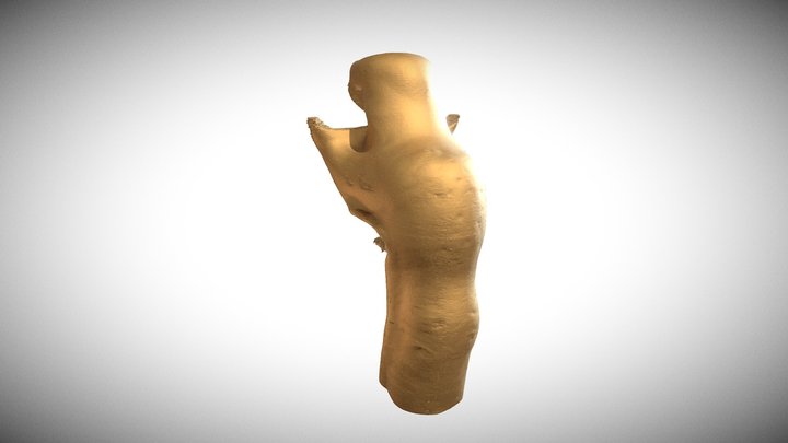 Tibia - Heuschreckensprunggelenk 3D Model