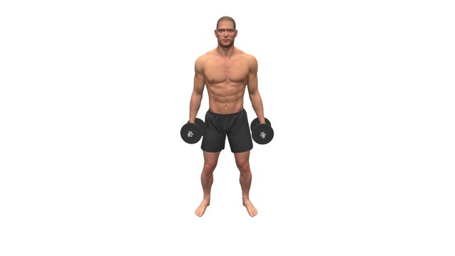 Dumbbell Bicep Curls - Single Arm 3D Model