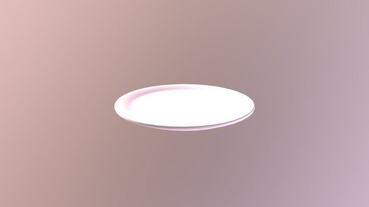 Plate 3D Model