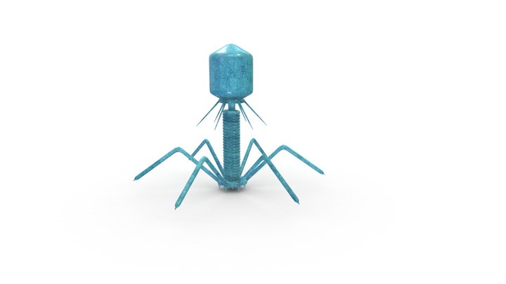 3D Bacteriophage Virus Model 3D Model