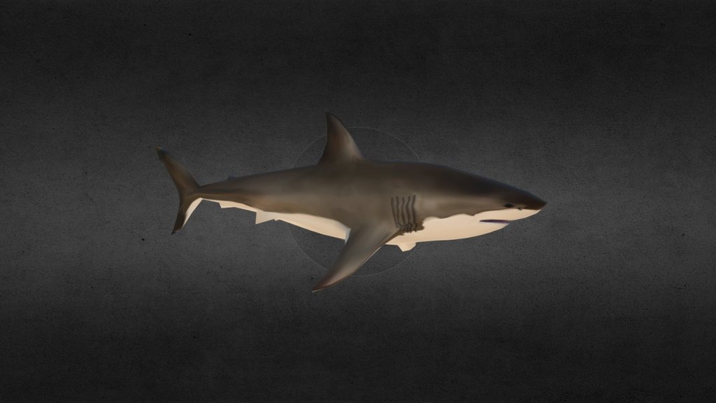 Great White for Second Life