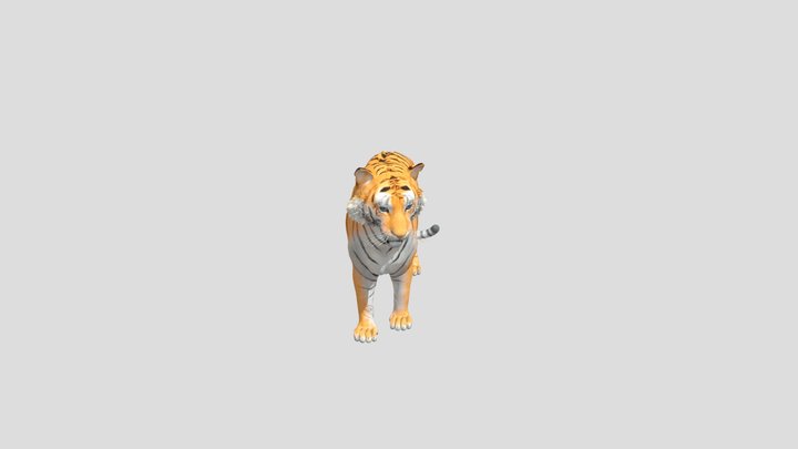 White Tiger 3D Model