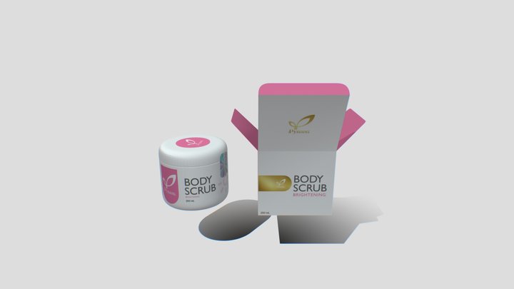SCRUB BOX 2 3D Model