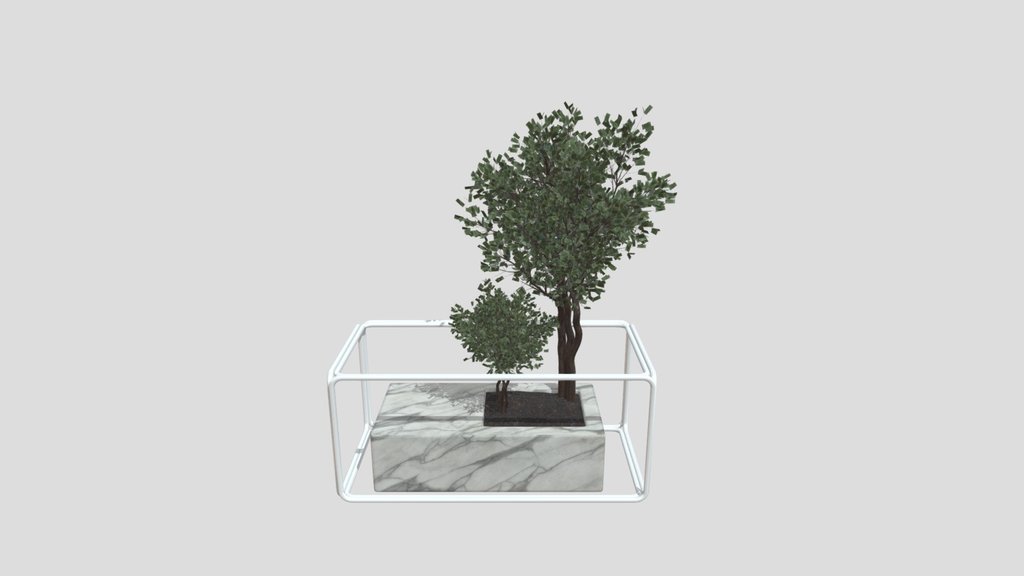 Sj Weeping Fig Flowerbox Set 04