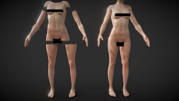 Fit Female Anatomy - Body parts base mesh 3D Model