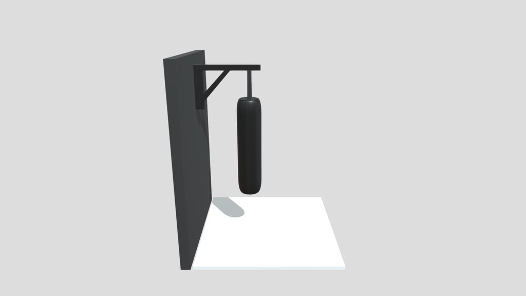 Gym Punching Bag