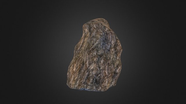 Einstein 3D Model