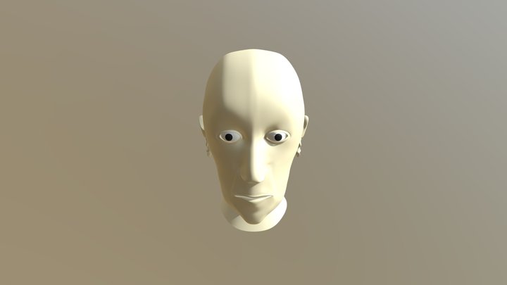 Face 3D Model