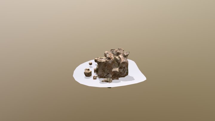 model 3D Model