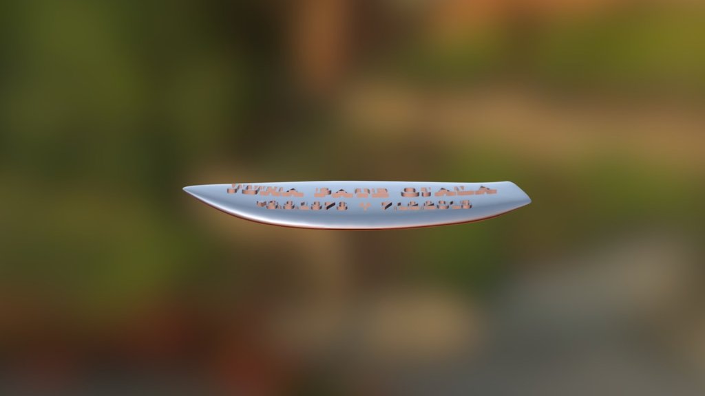 Surfboard Fixed