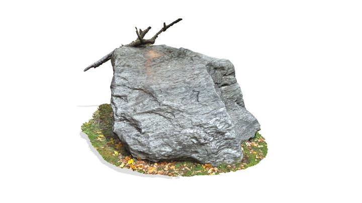 Glacial erratic boulder, Munich, Germany 3D Model