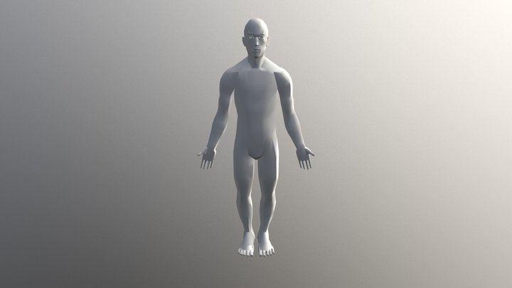 ANM 313 3 1 Hilliard Travis Human 3D Model