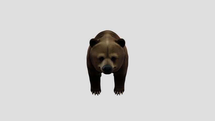 In Memory of Arthur, the Romanian Brown Bear 3D Model