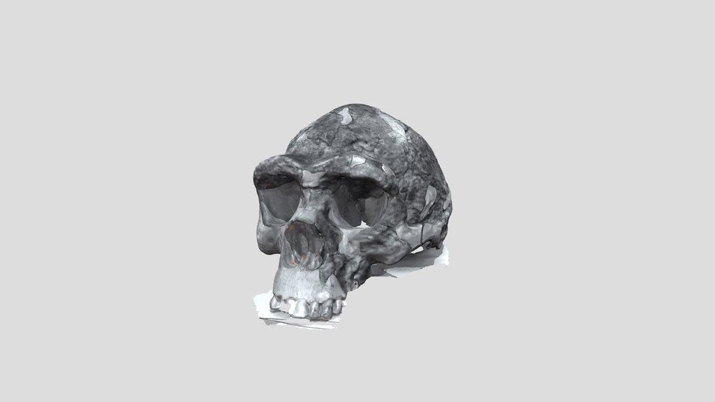 UNC_Scan_36