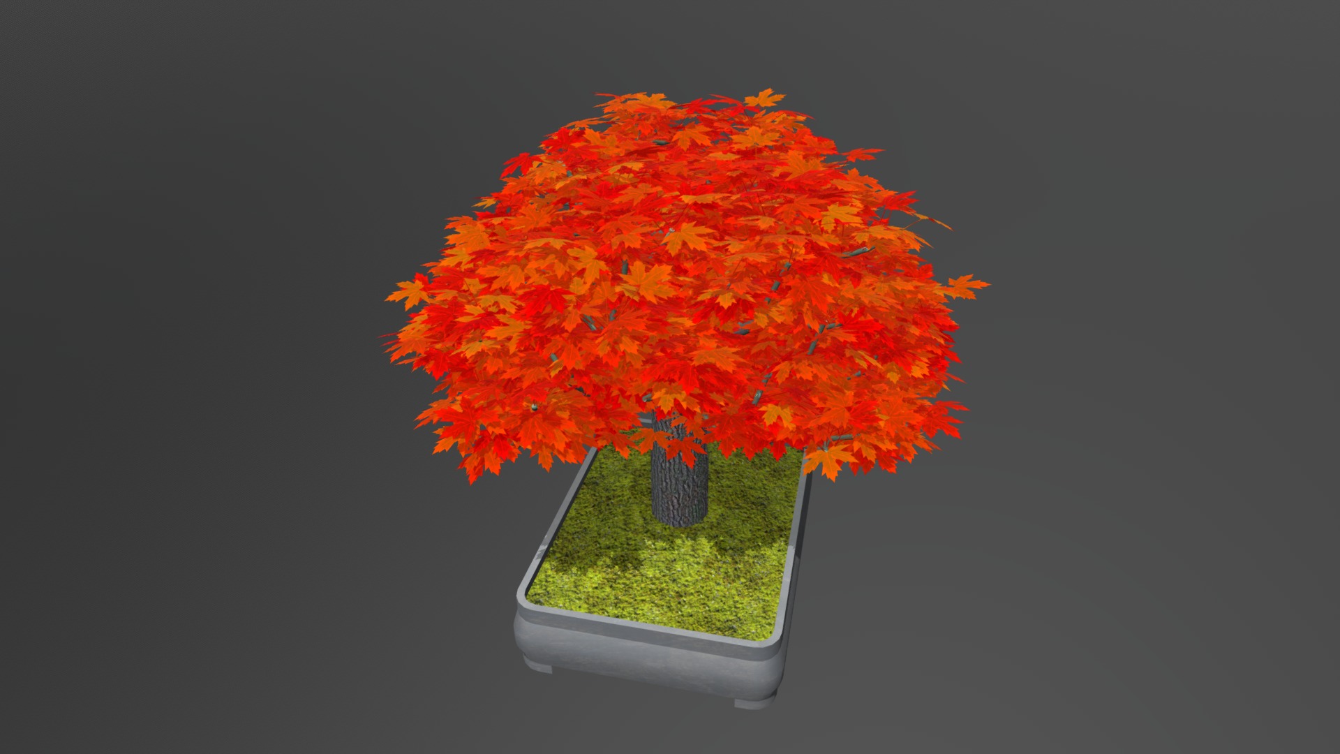3D model Broom - This is a 3D model of the Broom. The 3D model is about a tree with red leaves.