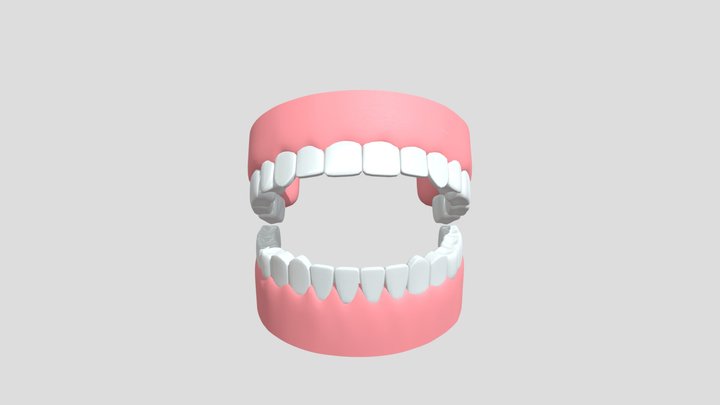 DUMMY_DENTADURA 3D Model