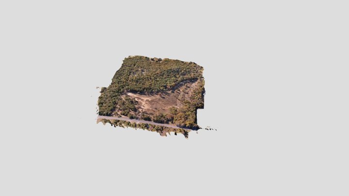 1_5M Mesh Trimed 3D Model