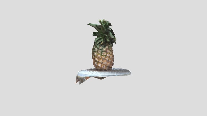 5_1_2025 3D Model