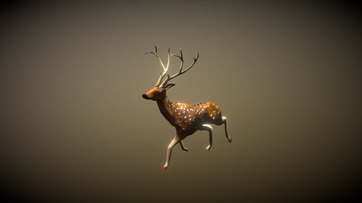 DeerTest1 3D Model