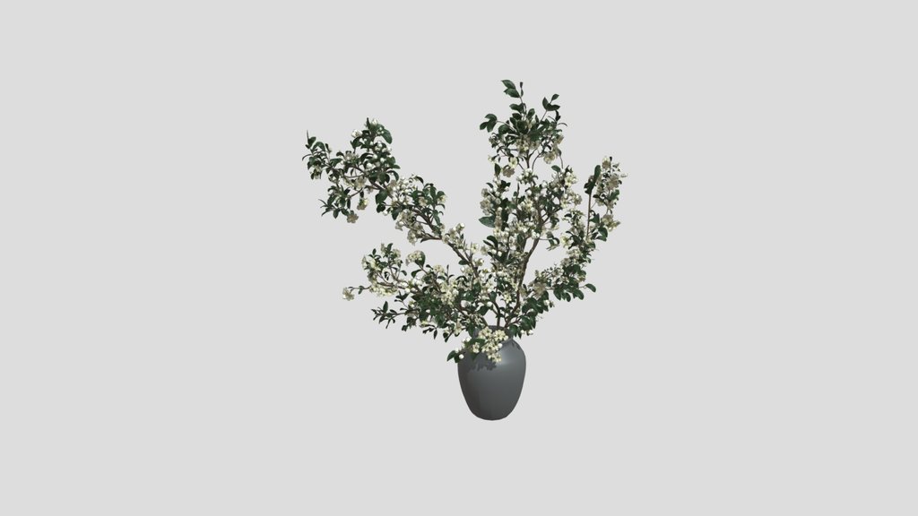 White Blossom