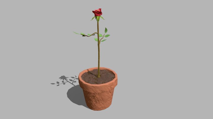 Rose in a Pot 3D Model