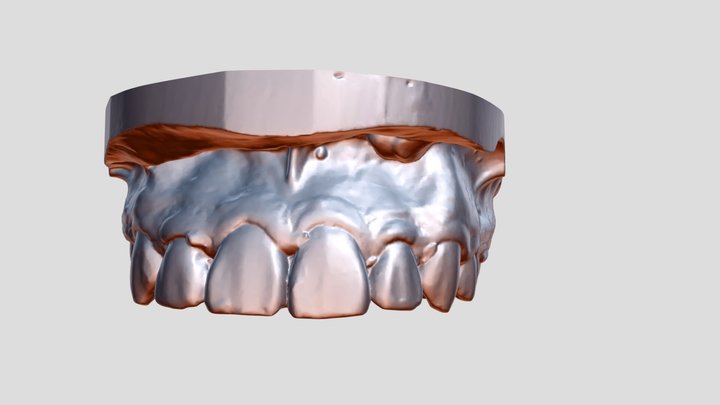 T2 3D Model