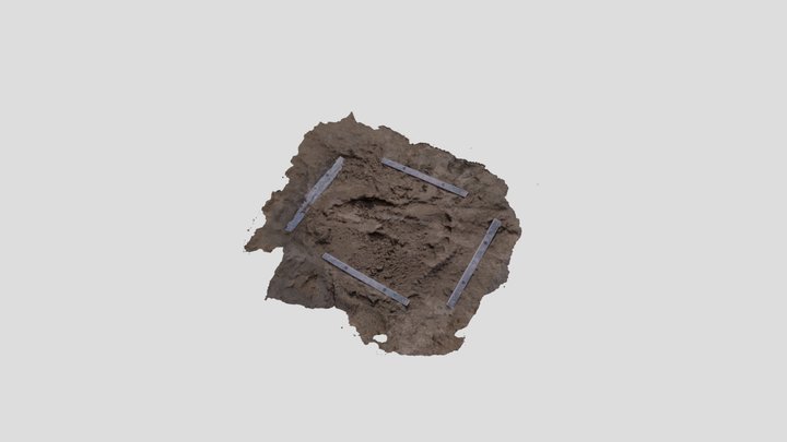 Pegada 01- Porto Histórico do Rio Grande- RS 3D Model